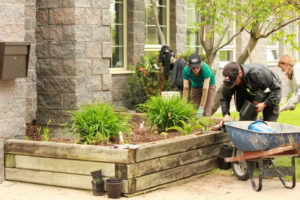 People working in a garden with a wheel barrow