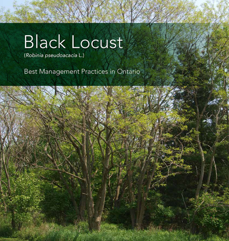 Black Locust Ontario Invasive Plant Council
