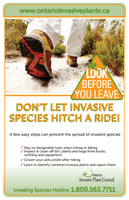 Look Before You Leave – Hikers
