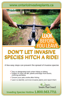 Look Before You Leave – Bikers