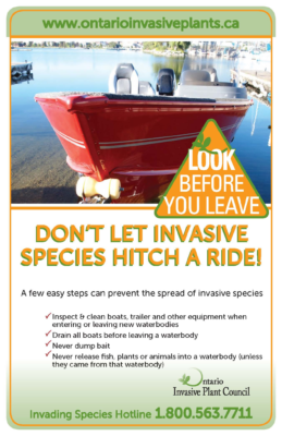 Look Before You Leave – Boaters