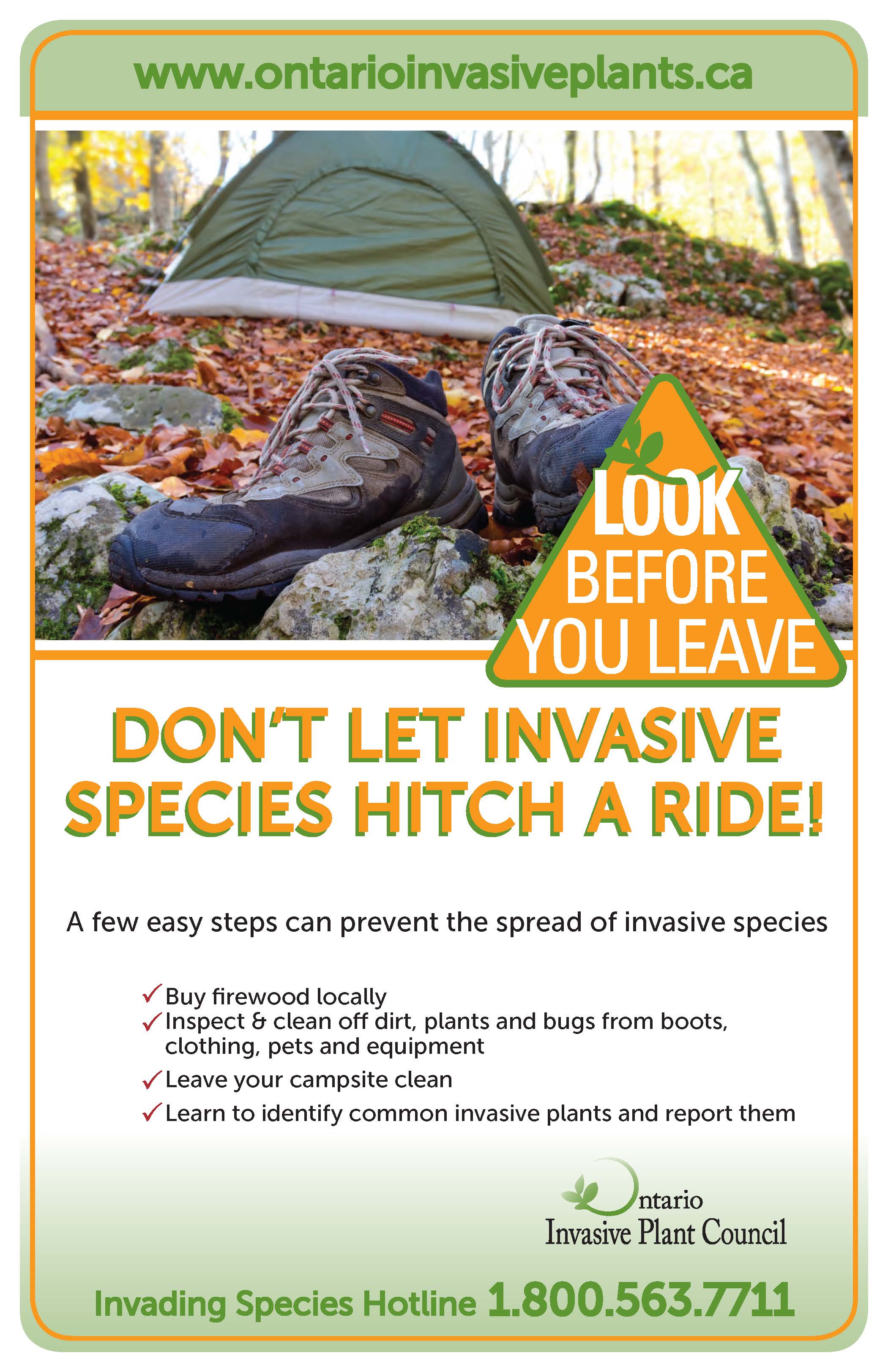 Leave the camp. Invasive species. Keep the Campsite clean. Stories about invasive species.
