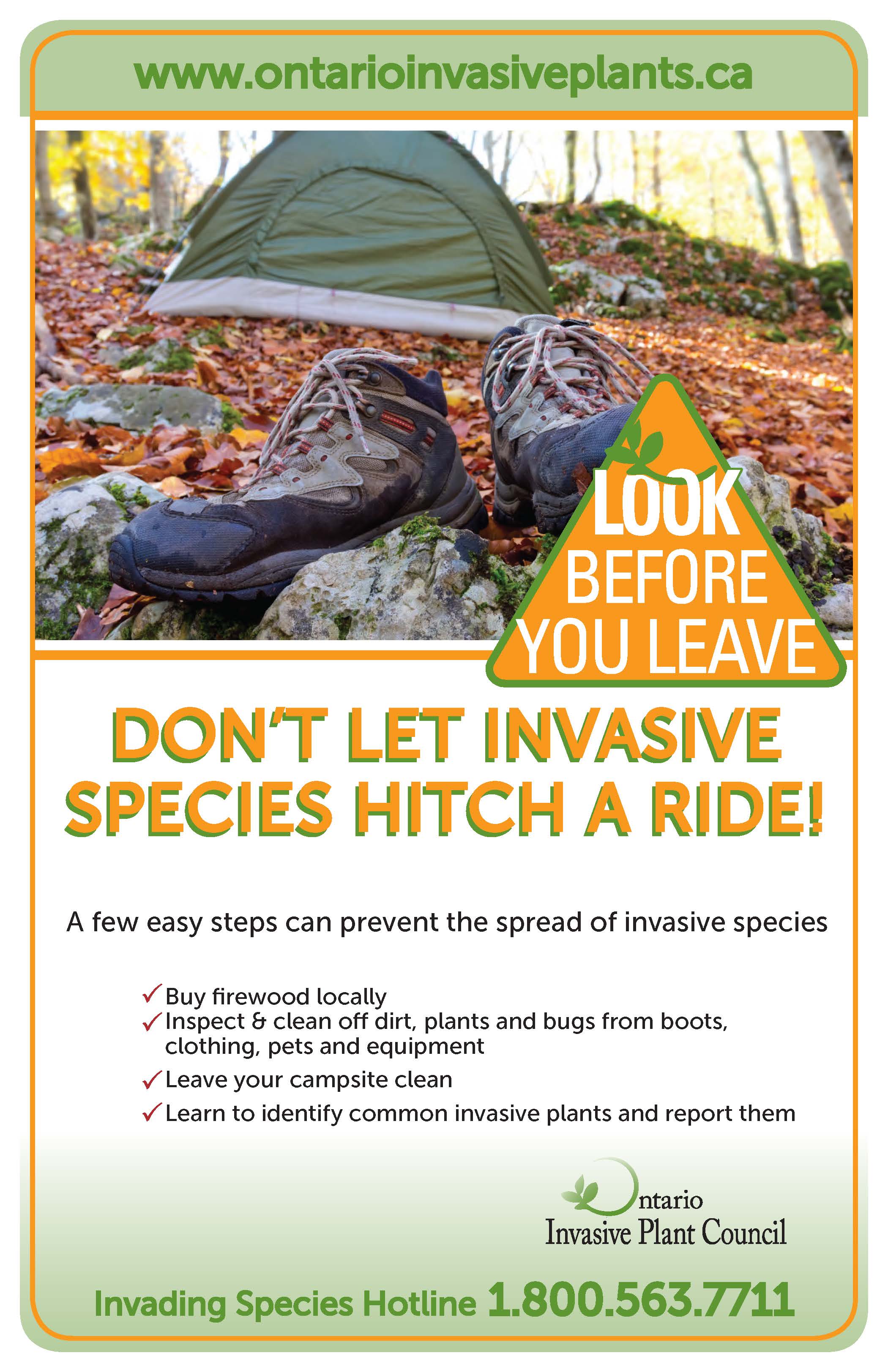 Invasive species. Keep the Campsite clean. Stories about invasive species.