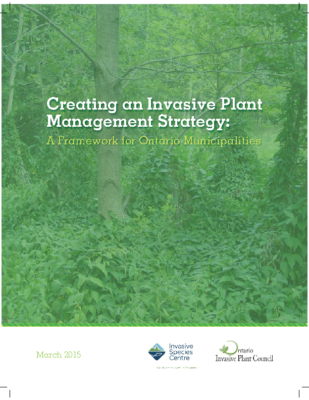 Invasive Plant Management Strategy Framework