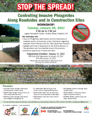 Controlling Phragmites Workshop