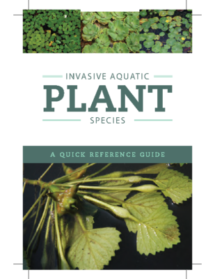 QuickReferenceGuide_AquaticPlants