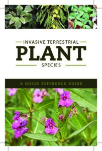 Quick Reference Guide_Terrestrial Plants - Ontario Invasive Plant Council