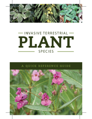 Quick Reference Guide_Terrestrial Plants