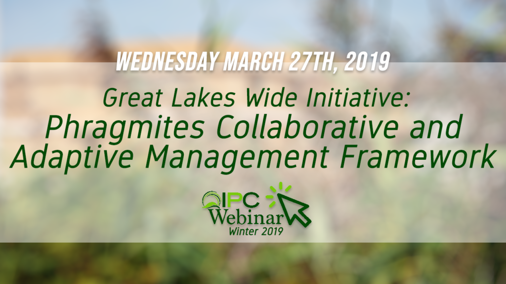 Phragmites Collaborative and Adaptive Management Framework