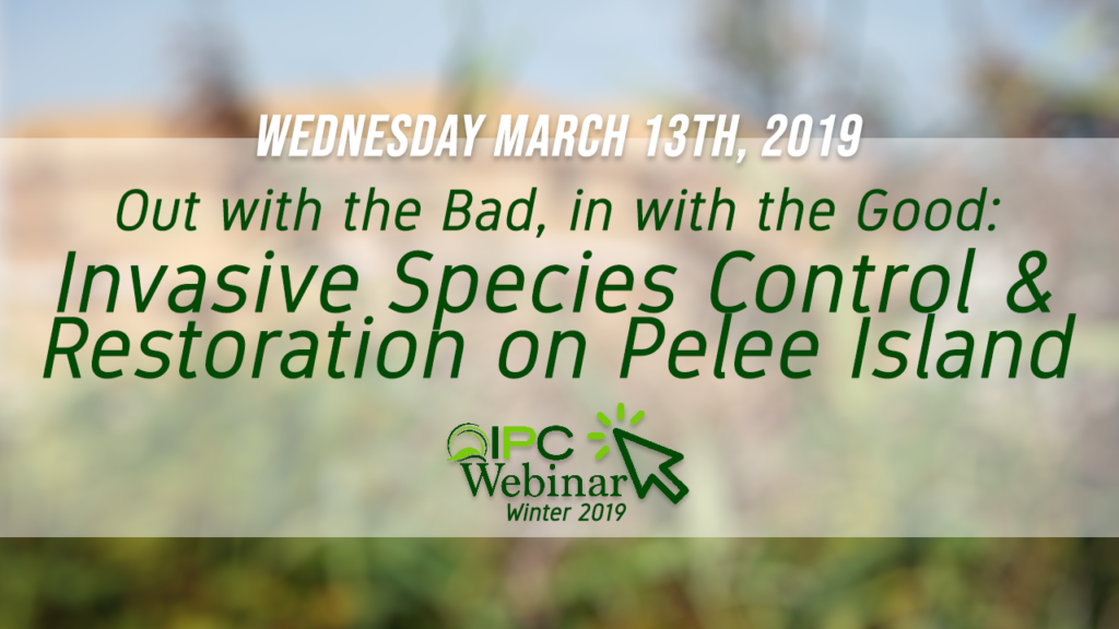 Invasive Species Control and Restoration on Pelee Island