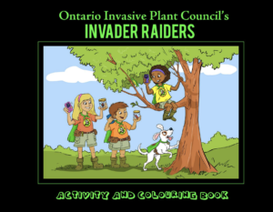 Invader Raiders Activity and Colouring Book