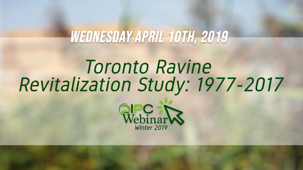 Toronto Ravine Revitalization Study: 1977-2017