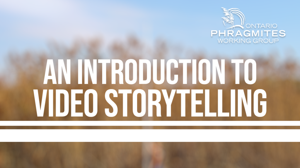 The OPWG: An Introduction to Video Storytelling with Invasive Plants
