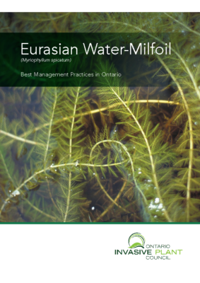 Eurasian Water-Milfoil BMP