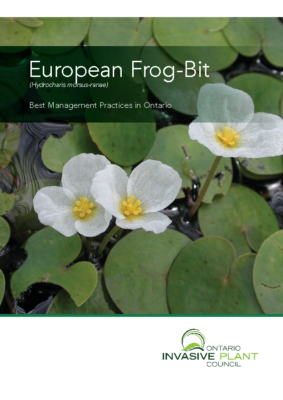 European Frog-Bit BMP