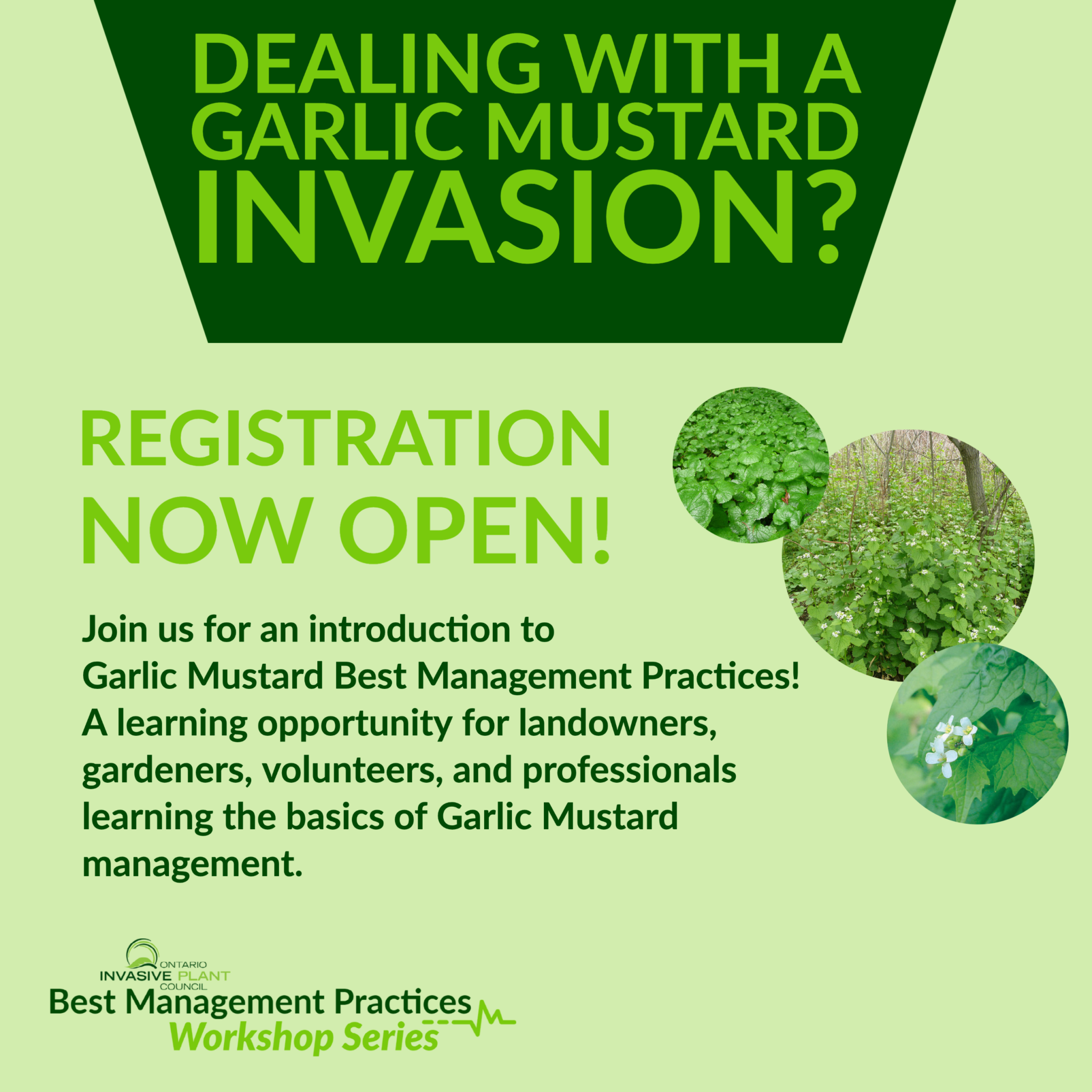 An Introduction to Garlic Mustard Best Management Practices, April 2022